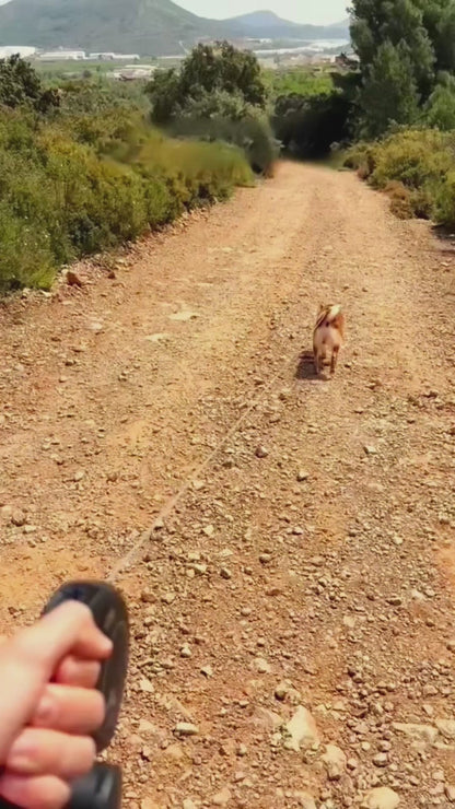 AquaPet Go — Bebedero Portátil para Mascotas